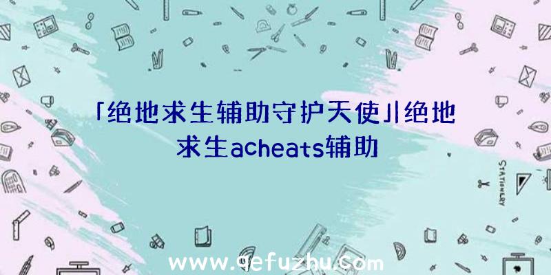 「绝地求生辅助守护天使」|绝地求生acheats辅助